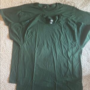 Hanes Men's Green T-Shirt (2 shirts)
